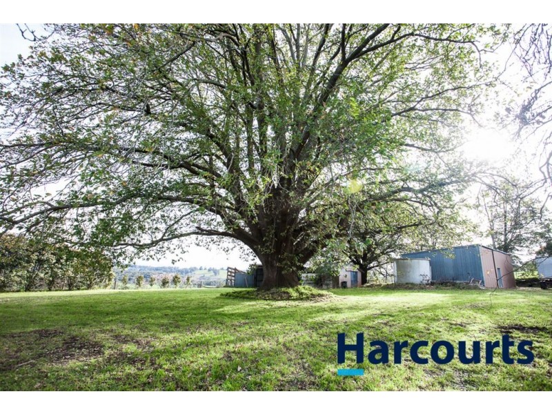 1695 Old Sale Road, Buln Buln East VIC 3821