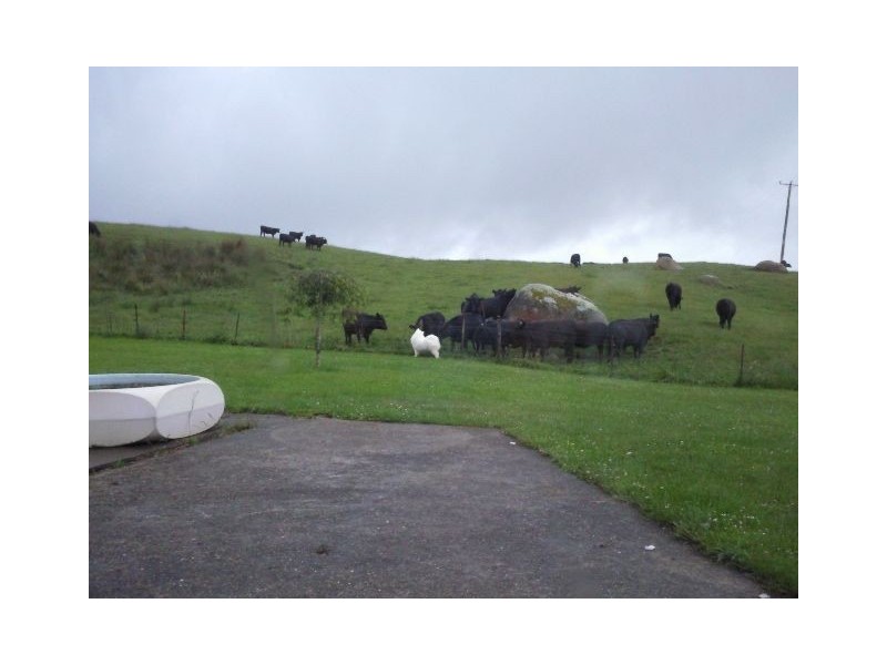 38 Masters Road, South Riana TAS 7316