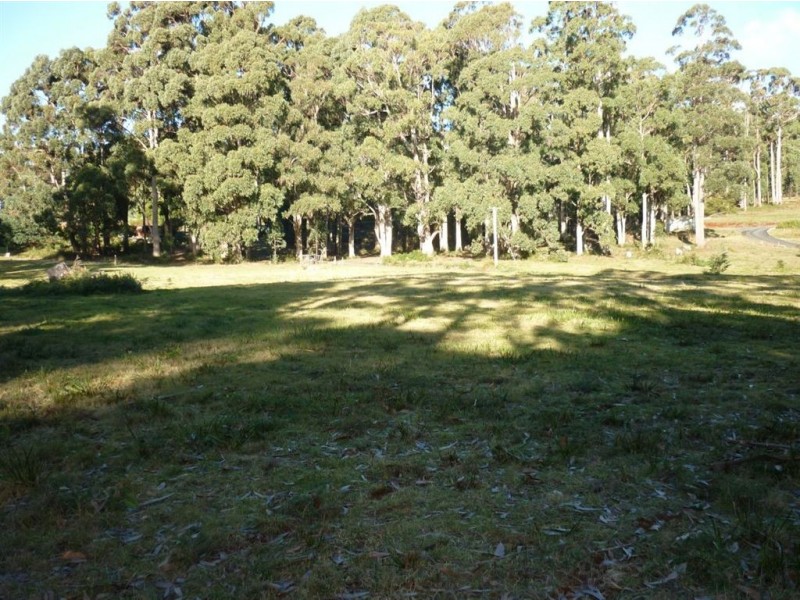 16A Sylvan Rise, Penguin TAS 7316