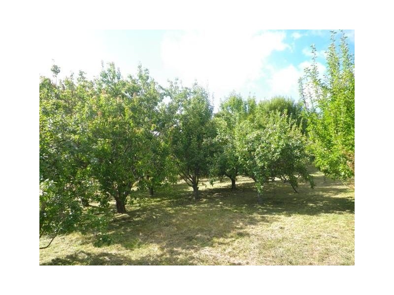 136 South Road, Penguin TAS 7316