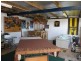 6 Ling Street, Penguin TAS 7316