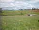 815 Cuprona Road, Cuprona TAS 7316