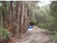. Dial Road, Penguin TAS 7316