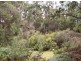 . Dial Road, Penguin TAS 7316