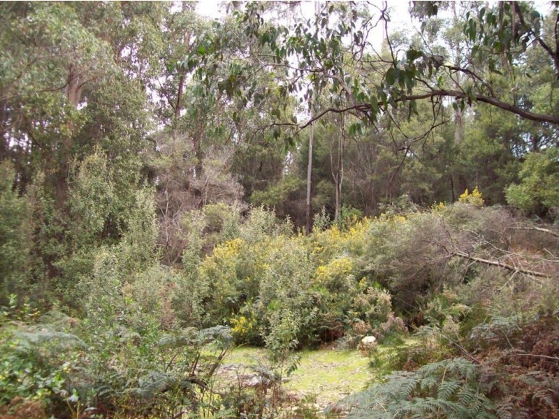 . Dial Road, Penguin TAS 7316
