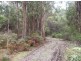 . Dial Road, Penguin TAS 7316