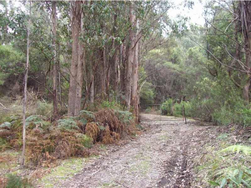. Dial Road, Penguin TAS 7316