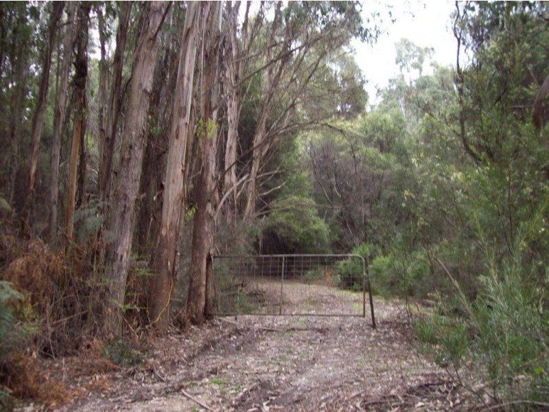 . Dial Road, Penguin TAS 7316