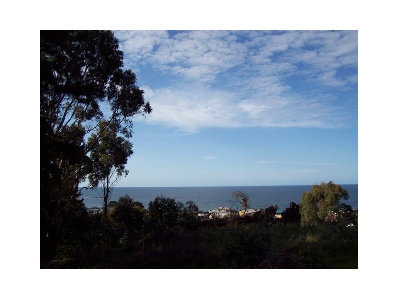 27 Quinn, Penguin TAS 7316