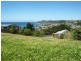 21 Kelvin Street, Penguin TAS 7316