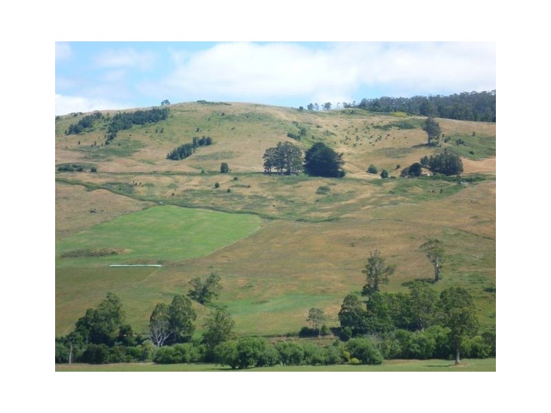 1329 Gunns Plains Road, Gunns Plains TAS 7315