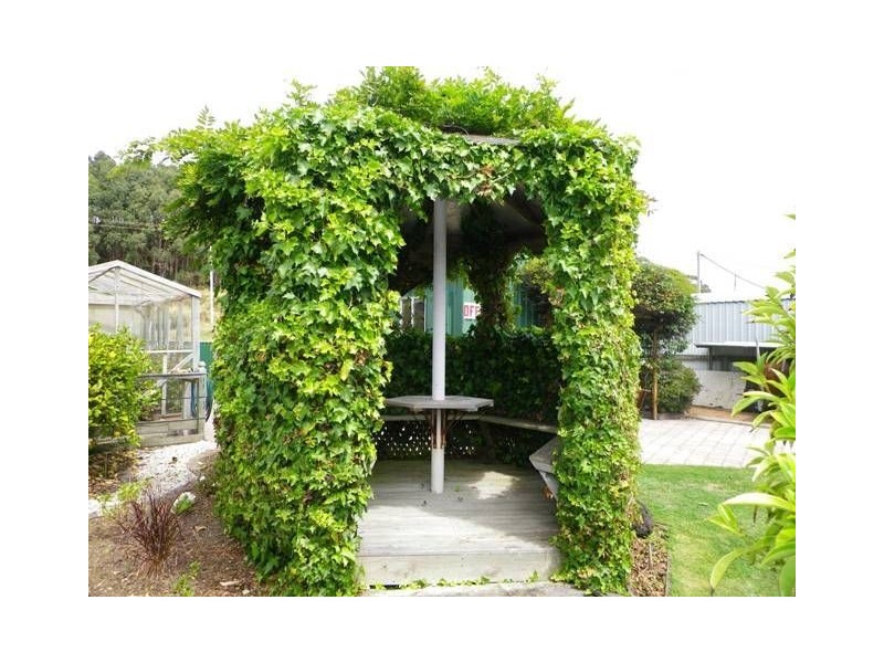 206 Main Road, Penguin TAS 7316