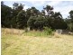 520 Harveys Road, North Motton TAS 7315