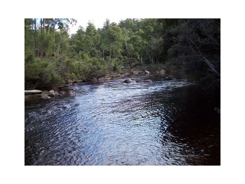 520 Harveys Road, North Motton TAS 7315