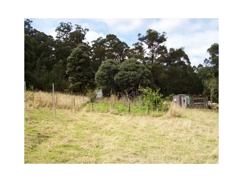 520 Harveys Road, North Motton TAS 7315