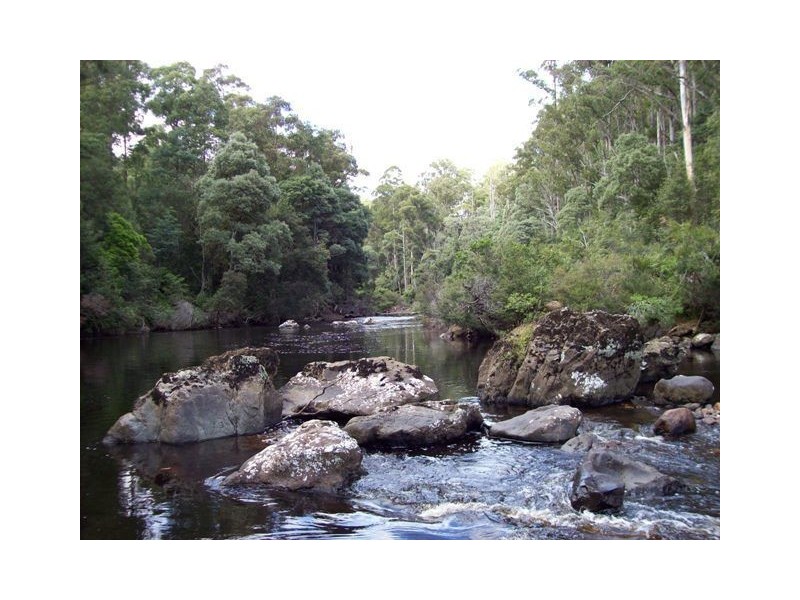 520 Harveys Road, North Motton TAS 7315