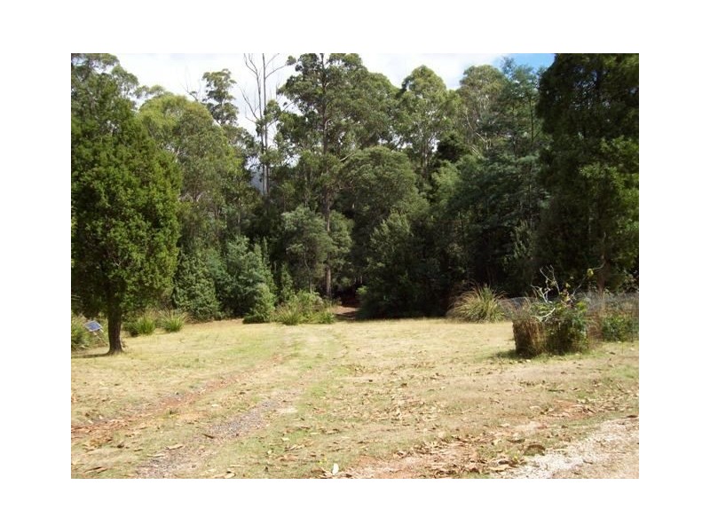 520 Harveys Road, North Motton TAS 7315