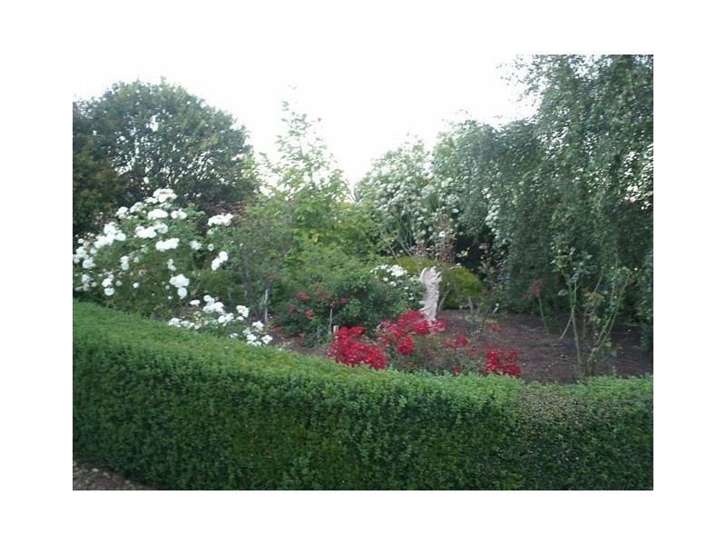 75 Mission Hill Road, Penguin TAS 7316