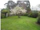 4 Porter Crescent, Ulverstone TAS 7315