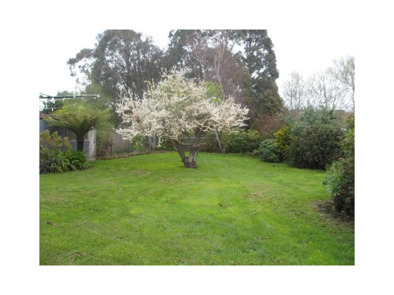 4 Porter Crescent, Ulverstone TAS 7315