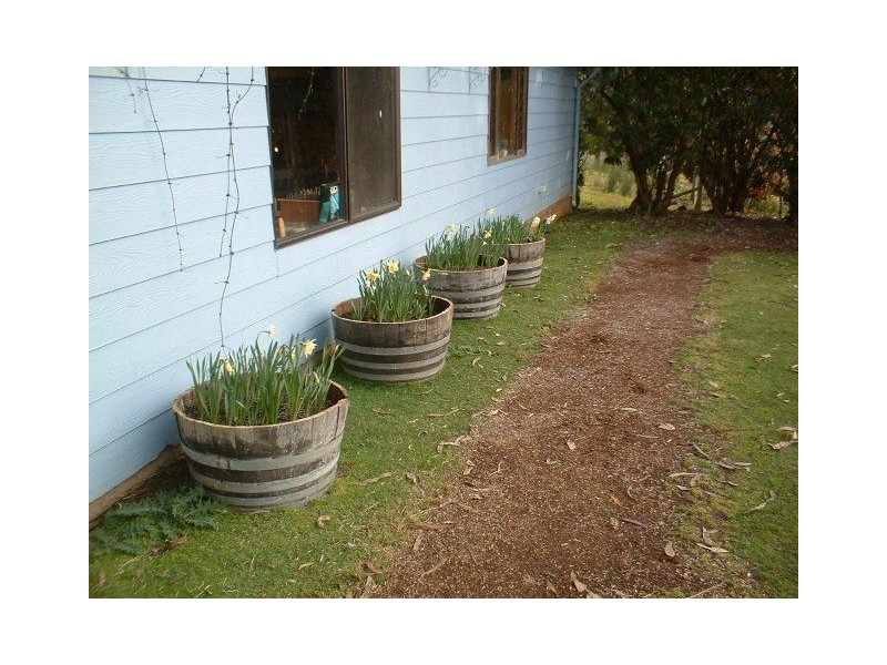 321 Raymond Road, Gunns Plains TAS 7315