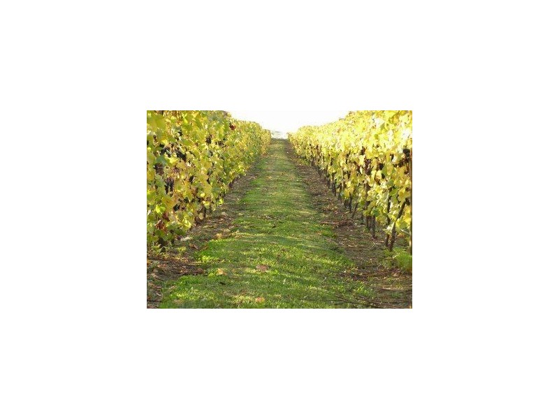 321 Raymond Road, Gunns Plains TAS 7315