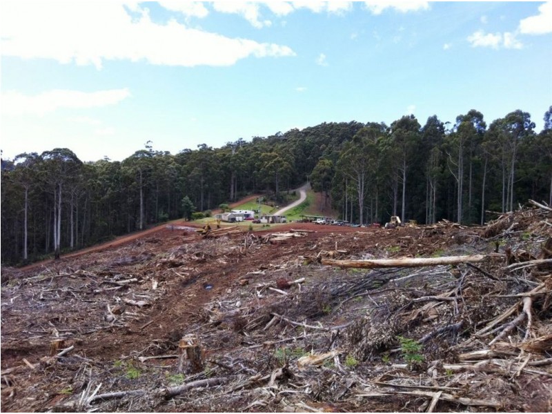 Lot 4 Harveys Road, North Motton TAS 7315