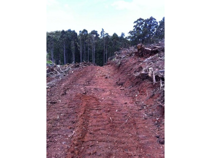 Lot 4 Harveys Road, North Motton TAS 7315