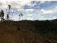 Lot 4 Harveys Road, North Motton TAS 7315