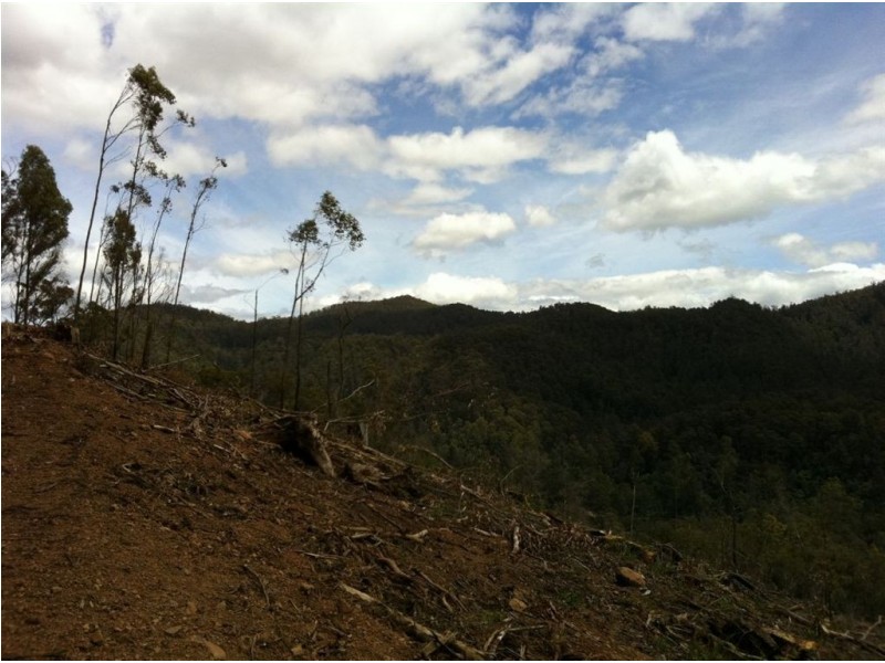 Lot 4 Harveys Road, North Motton TAS 7315