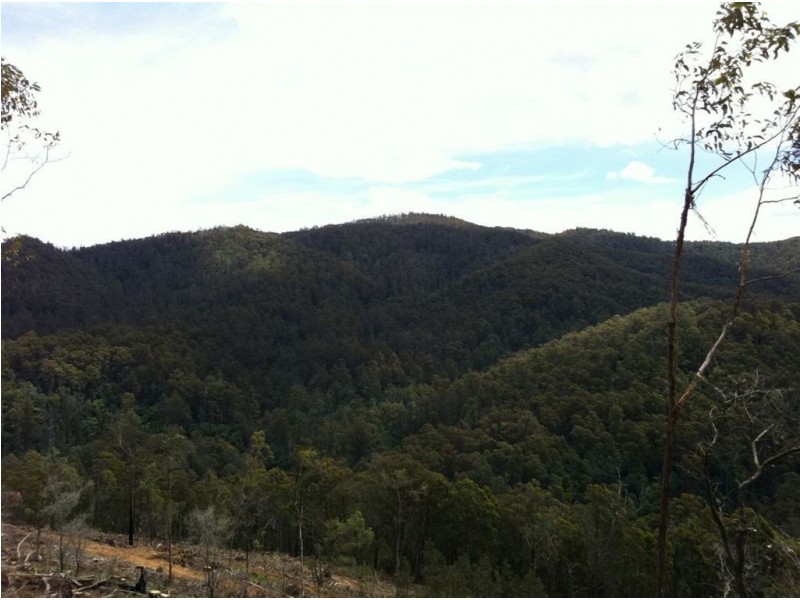 Lot 4 Harveys Road, North Motton TAS 7315