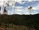 Lot 4 Harveys Road, North Motton TAS 7315