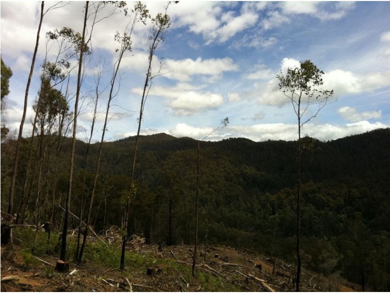 Lot 4 Harveys Road, North Motton TAS 7315