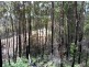 Lot 4 Harveys Road, North Motton TAS 7315