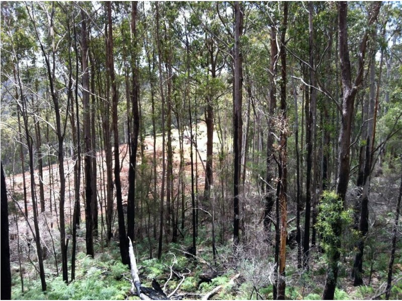 Lot 4 Harveys Road, North Motton TAS 7315