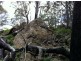 Lot 4 Harveys Road, North Motton TAS 7315