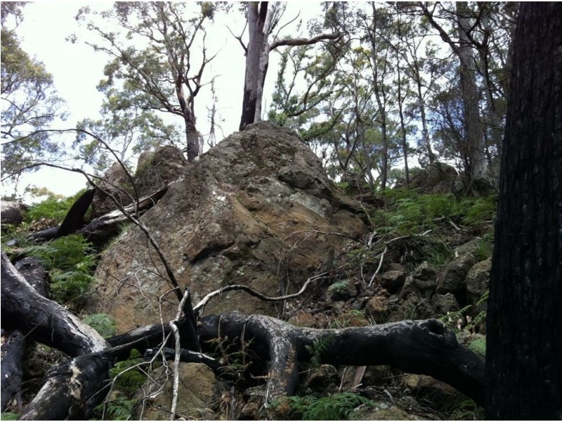 Lot 4 Harveys Road, North Motton TAS 7315