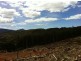 Lot 4 Harveys Road, North Motton TAS 7315