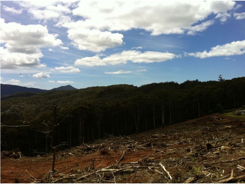 Lot 4 Harveys Road, North Motton TAS 7315