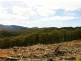 Lot 4 Harveys Road, North Motton TAS 7315