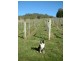 321 Raymond Road, Gunns Plains TAS 7315
