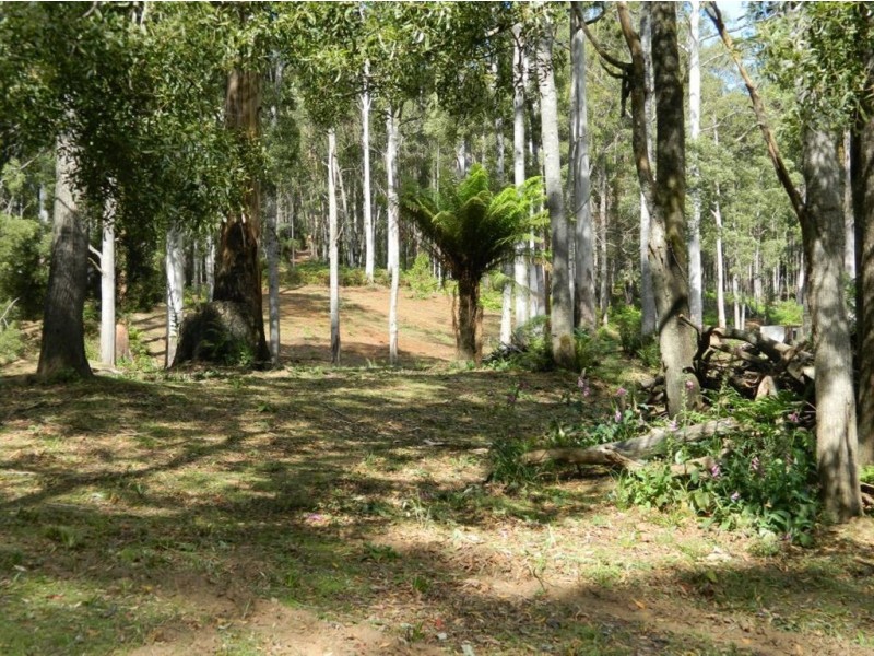 Lot 3 Harveys Road, North Motton TAS 7315