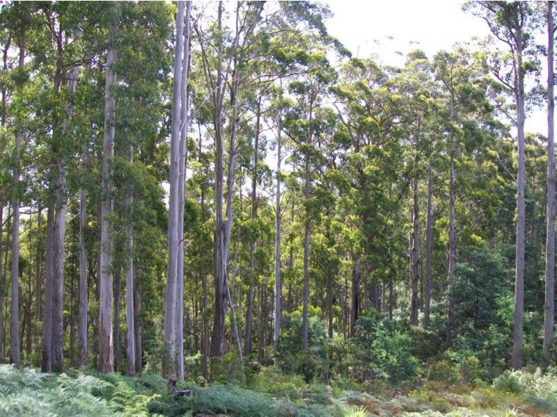 968 Ironcliffe Road, Penguin TAS 7316