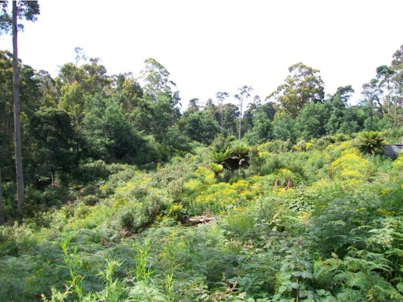 968 Ironcliffe Road, Penguin TAS 7316