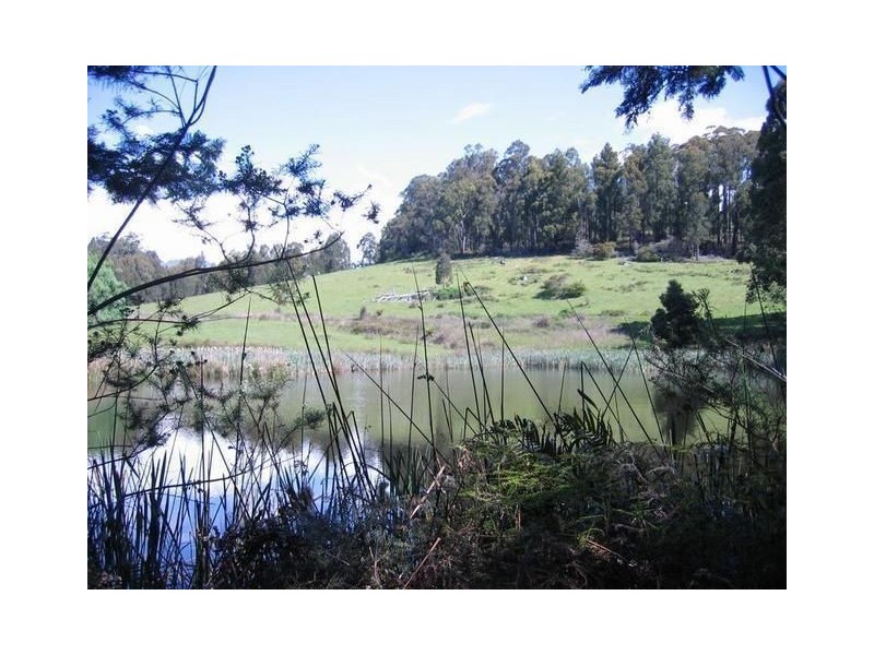 Lot 4 Lutteralls Road, West Kentish TAS 7306