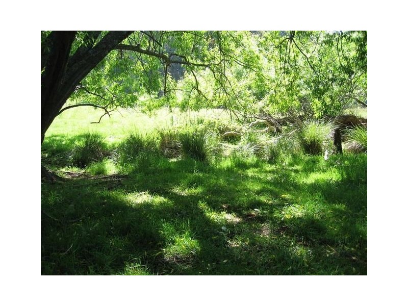 Lot 4 Lutteralls Road, West Kentish TAS 7306