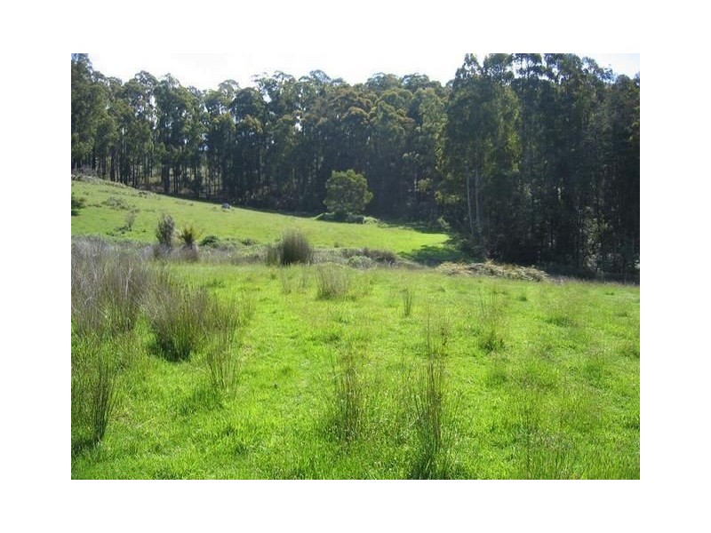 Lot 4 Lutteralls Road, West Kentish TAS 7306