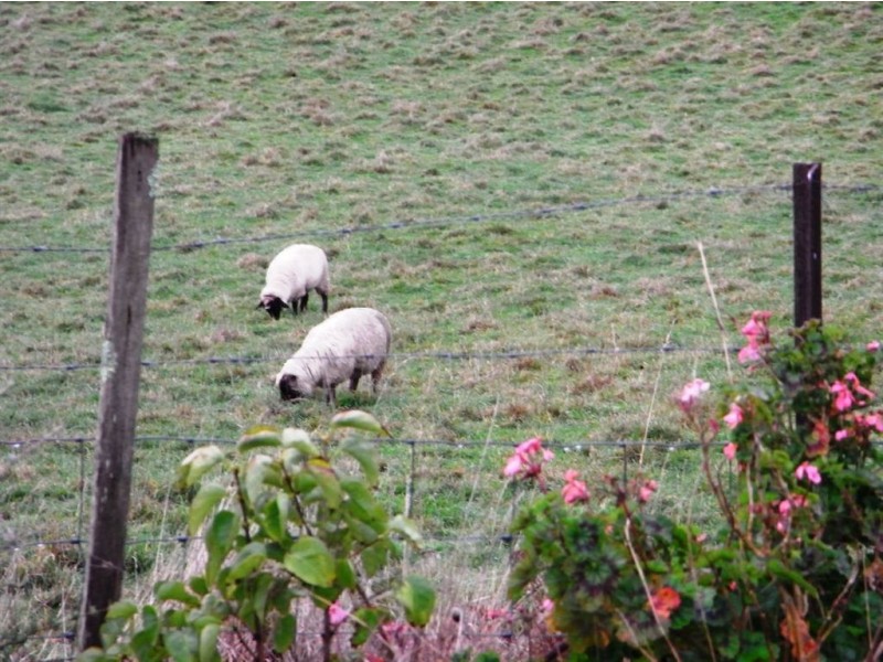 90 Smiths Road, Preston TAS 7315