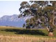 336 Back Road, Wilmot TAS 7310