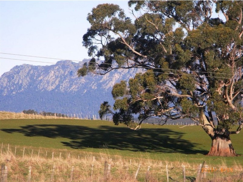 336 Back Road, Wilmot TAS 7310